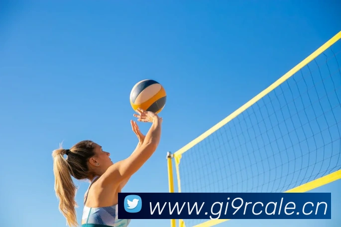 多媒体互动体验